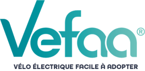 Logo VEFAA couleur